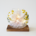 Globe magnolia blanc